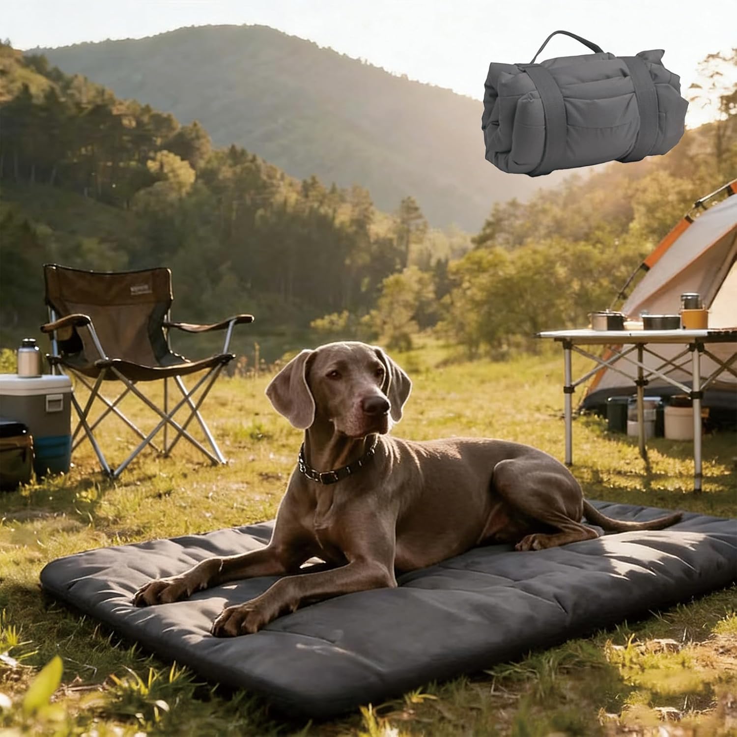 Outdoor Camping Dog Kennel - Outdoor Travel Dog Bed Mat Large,