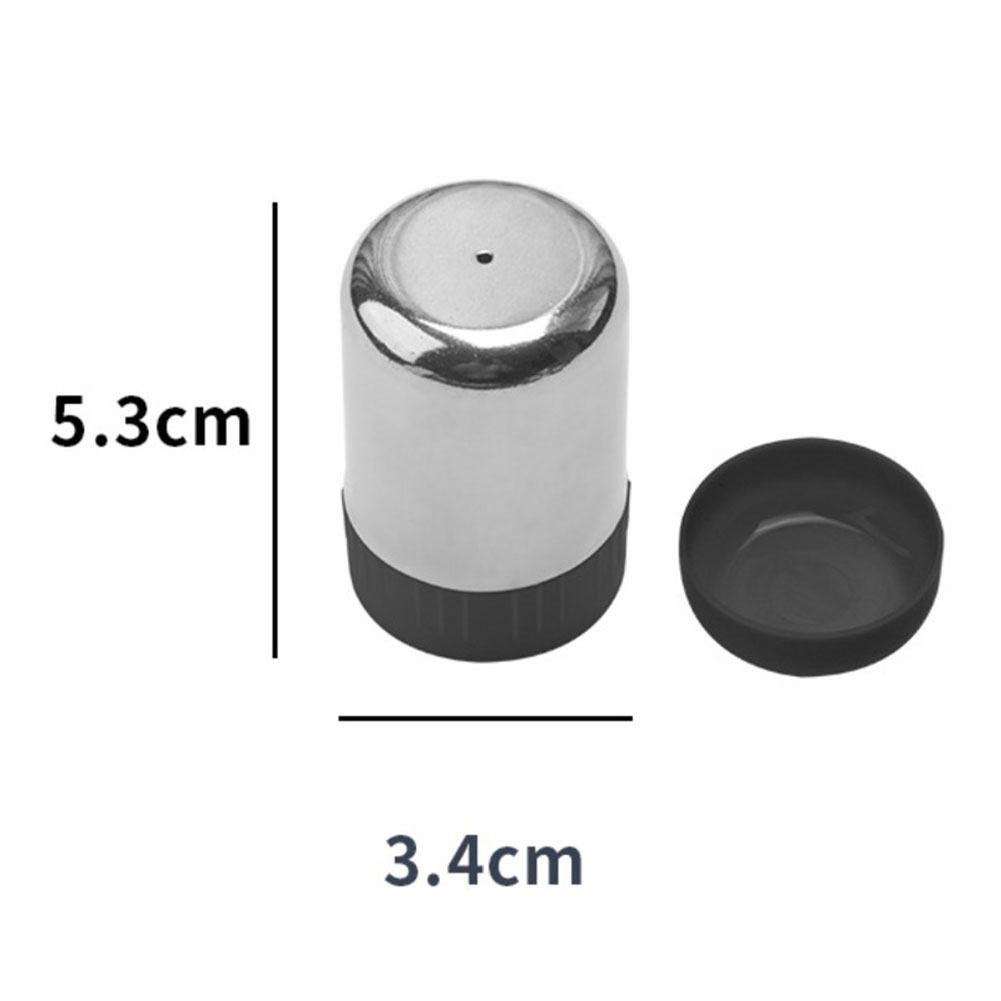 Small Stainless Steel Seasonin - Outdoor Camping Bbq recensione e prezzo