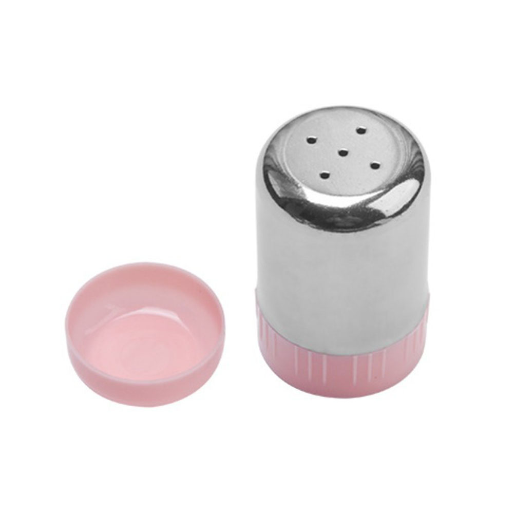 Small Stainless Steel Seasonin - Outdoor Camping Bbq recensione e prezzo