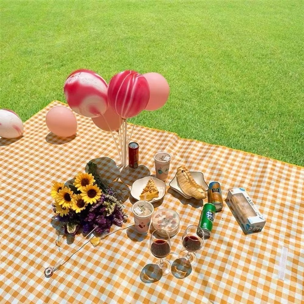 Outdoor Picnic Mat Thickened E - Outdoor Camping Heated Blanket recensione e prezzo