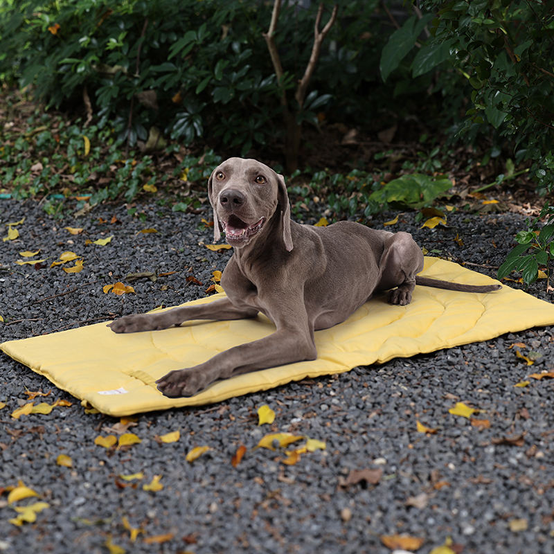 Portable Pet Mat Foldable Pet  - Outdoor Camping Dog Kennel recensione e prezzo