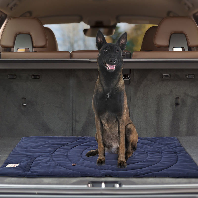Portable Pet Mat Foldable Pet  - Outdoor Camping Dog Kennel recensione e prezzo