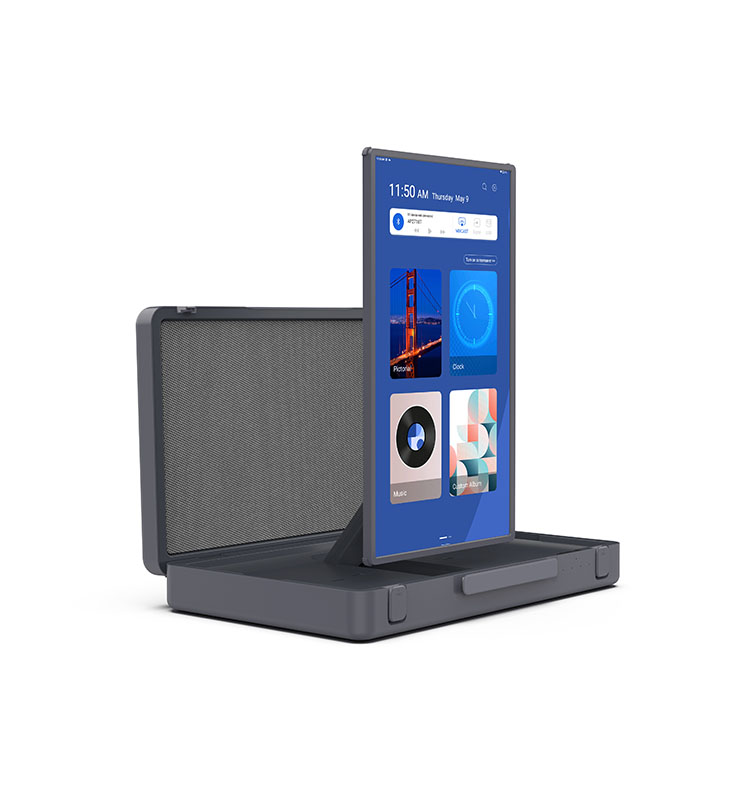 Portable Briefcase Suitcase To - Outdoor Camping Tv recensione e prezzo