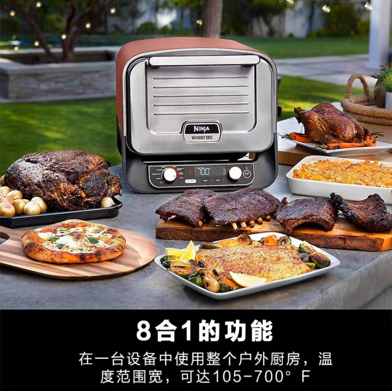 2026 Outdoor Pizza Oven for El - Outdoor Camping Bbq recensione e prezzo
