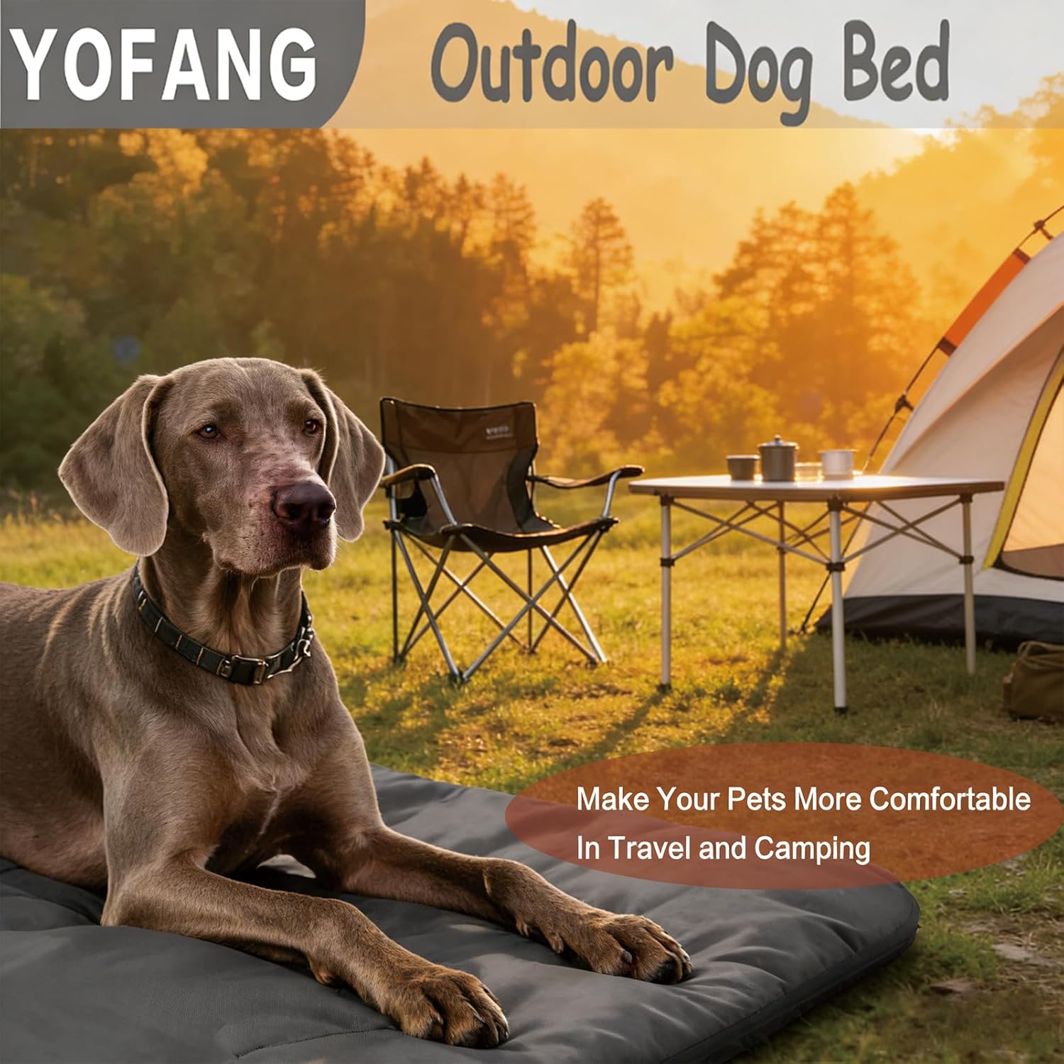 Outdoor Travel Dog Bed Mat Lar - Outdoor Camping Dog Kennel recensione e prezzo