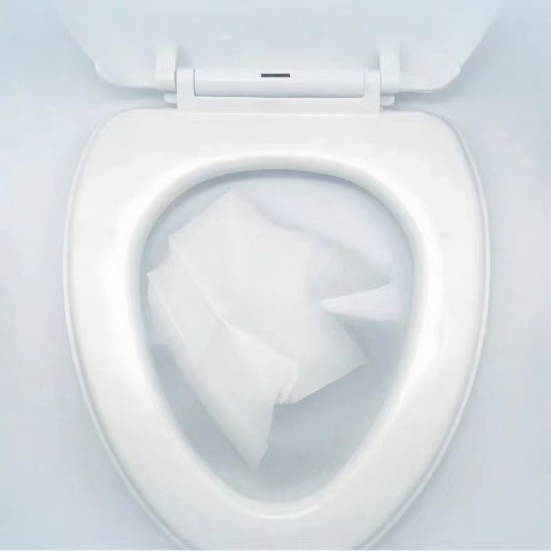10-300pcs Disposable Toilet Se - Outdoor Camping Mat recensione e prezzo